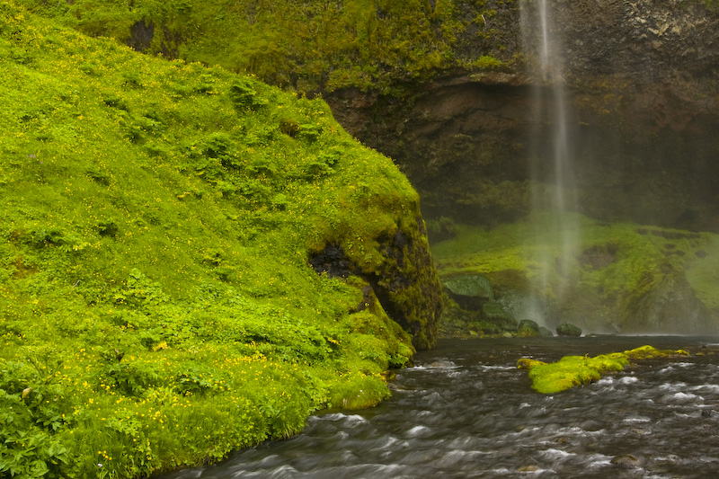 Seljalandsfoss 